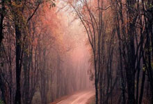 苏格兰vs匈牙利，这场欧国联对决谁能更胜一筹？